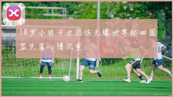 18岁小将卡尔因伤无缘世界杯回国显失落心情沉重