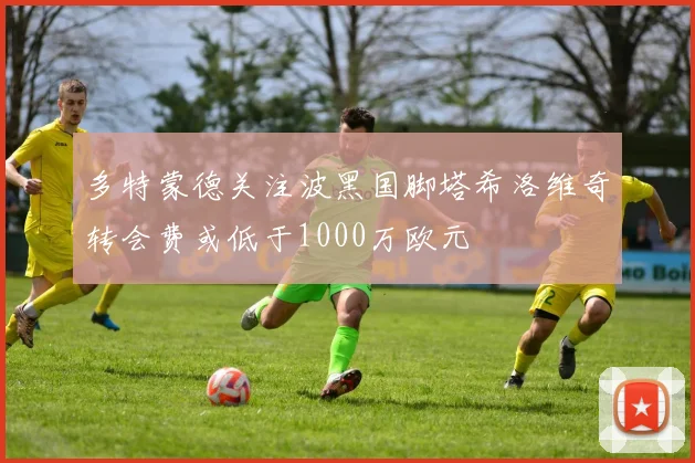 多特蒙德关注波黑国脚塔希洛维奇转会费或低于1000万欧元