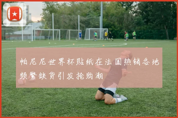帕尼尼世界杯贴纸在法国热销各地频繁缺货引发抢购潮